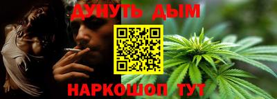 спиды Бийск
