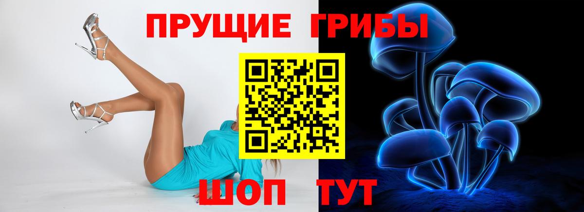 Галлюциногенные грибы Cubensis  Галлюциногенные грибы GOLDEN TEACHER  Вход с VPN  Волгоград 