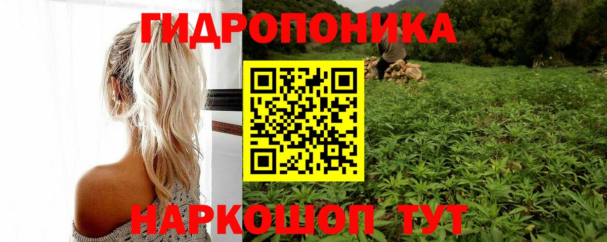 Каннабис семена  Канабис AK-47  Волгоград  Вход с VPN 
